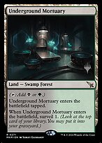 Underground Mortuary #271p