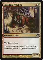 Cerodon Yearling #86