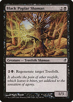 Black Poplar Shaman #99