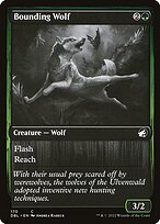 Bounding Wolf #170