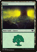 Forest #341