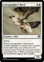 Cartographer's Hawk #18
