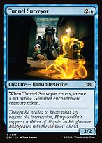 Tunnel Surveyor #76