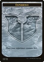 Experience #19