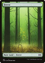 Forest #381