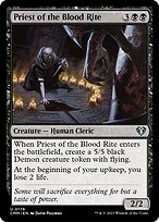 Priest of the Blood Rite #179