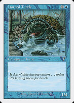 Horned Turtle #80