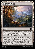 Evolving Wilds #340