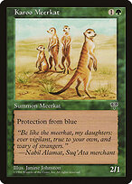 Karoo Meerkat #225