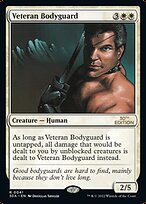 Veteran Bodyguard #41