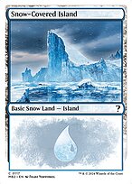 Snow-Covered Island #117