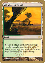 Windswept Heath #jn328