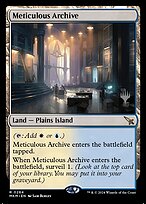 Meticulous Archive #264p