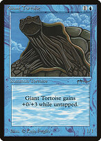 Giant Tortoise #15†