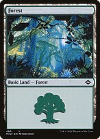 Forest #490