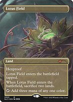 Lotus Field #2023
