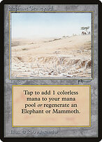 Elephant Graveyard #74