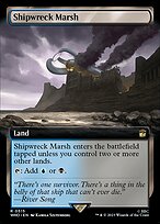 Shipwreck Marsh #515