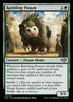 Rambling Possum #176