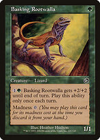 Basking Rootwalla #121