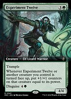 Experiment Twelve #347