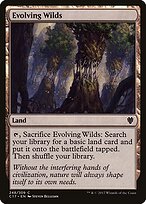 Evolving Wilds #248