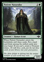 Patient Naturalist #174