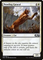 Prowling Caracal #309