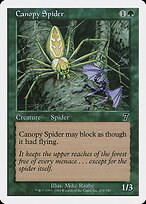 Canopy Spider #234