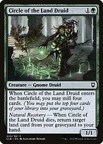Circle of the Land Druid #220