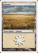 Plains #C46