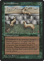 Joven's Ferrets #89