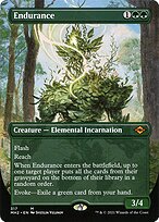 Endurance #317
