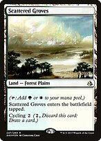 Scattered Groves #247s