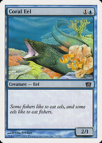 Coral Eel #70