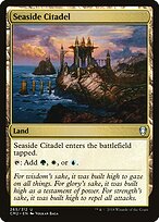 Seaside Citadel #265