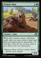 Pothole Mole #176