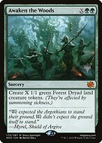 Awaken the Woods #170p