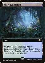 Misty Rainforest #477