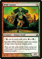 Wild Cantor #149