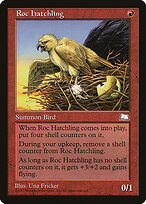 Roc Hatchling #113