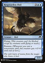 Ringwarden Owl #ORI-68