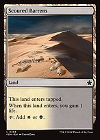 Scoured Barrens #266