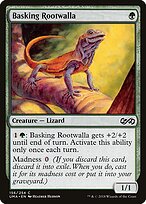 Basking Rootwalla #156