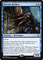 Skyway Robber #31p