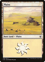 Plains #339