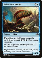 Shipwreck Moray #45