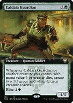 Caldaia Guardian #156