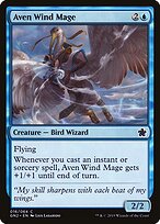 Aven Wind Mage #16