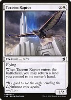 Tazeem Raptor #43